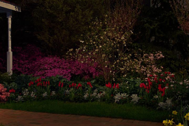 L_W 021.jpg